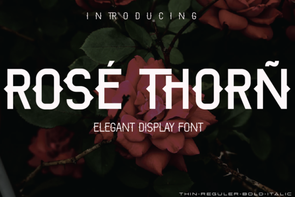 Rose Thorn Font Review for Design Projects